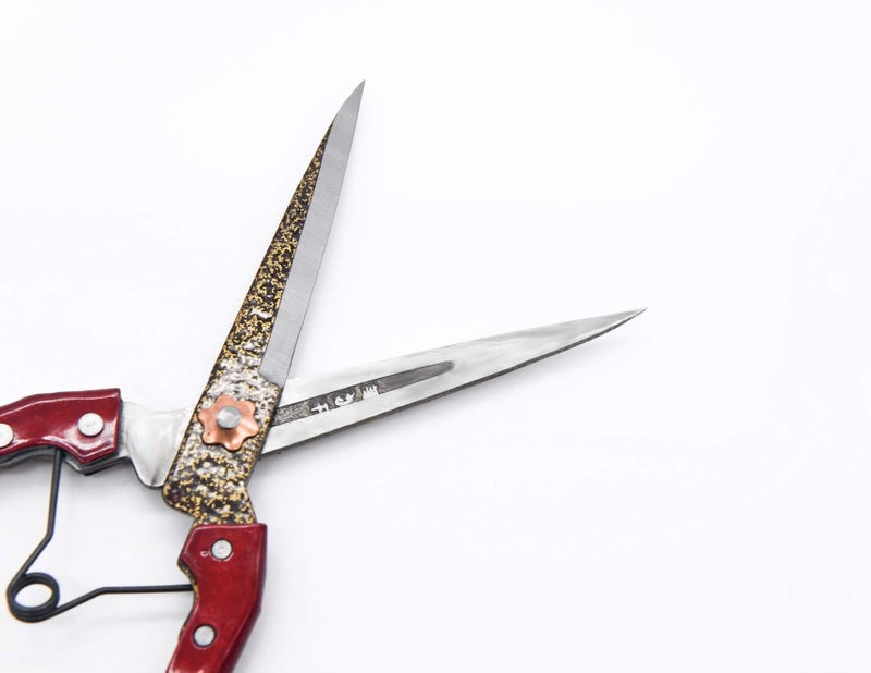 LCDCM Grass Shear Sheep Shear Alpaca Shear - Coated Wear-Resistant Handle, Manganese Steel Double Blade, Strong Spring Suitable For Cattle And Sheep and Horse Hair Hand-Cut (Red 10.2 inches) - Image 4